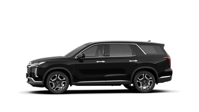 Hyundai Palisade - Ảnh 15