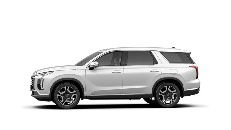 Hyundai Palisade - Ảnh 9