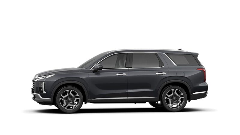 Hyundai Palisade - Ảnh 18