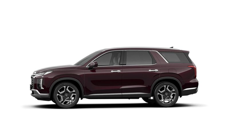 Hyundai Palisade - Ảnh 6
