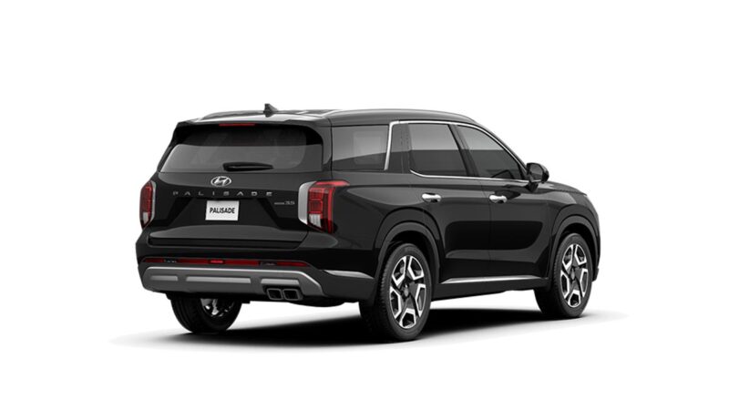 Hyundai Palisade - Ảnh 16