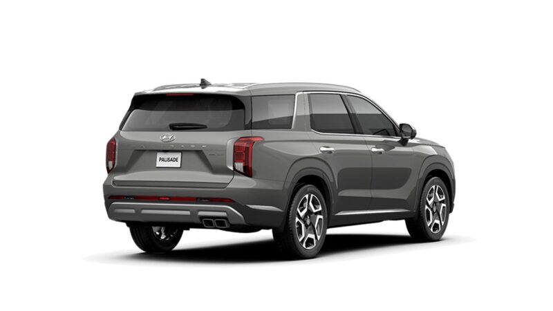 Hyundai Palisade - Ảnh 13