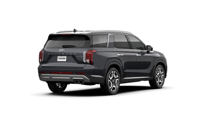 Hyundai Palisade - Ảnh 19