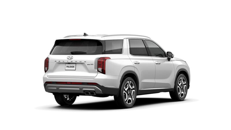 Hyundai Palisade - Ảnh 10