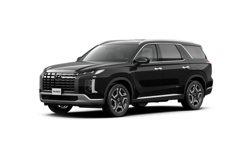 Hyundai Palisade - Ảnh 14